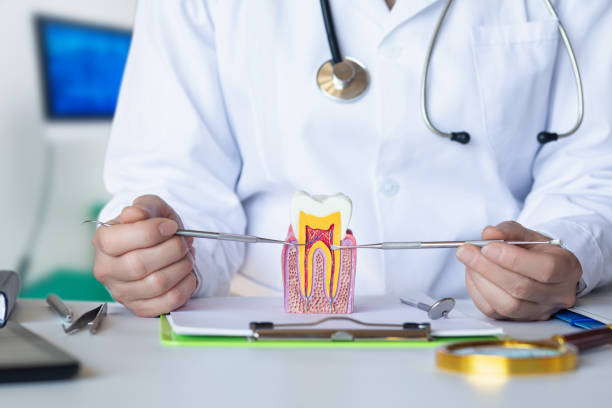 Best Emergency Dental Services for Seniors in Lochearn, MD